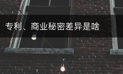 专利、商业秘密差异是啥