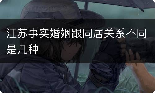 江苏事实婚姻跟同居关系不同是几种