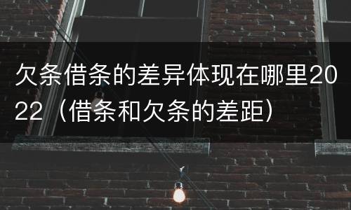 欠条借条的差异体现在哪里2022（借条和欠条的差距）