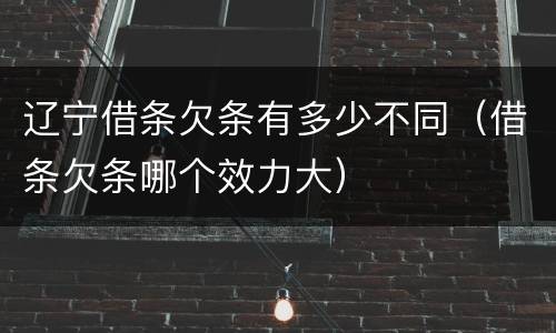 辽宁借条欠条有多少不同（借条欠条哪个效力大）