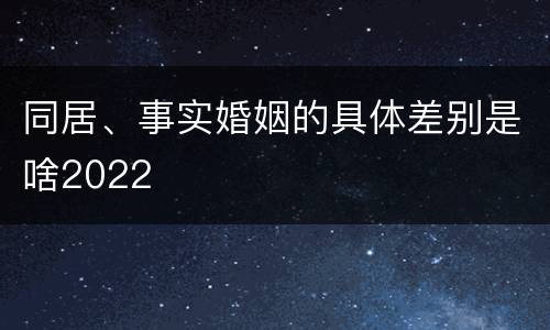 同居、事实婚姻的具体差别是啥2022