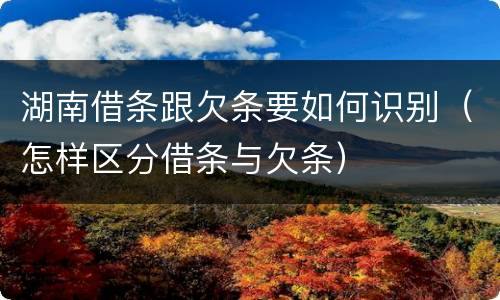 湖南借条跟欠条要如何识别（怎样区分借条与欠条）