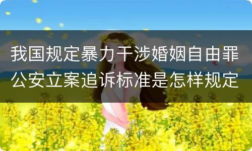 我国规定暴力干涉婚姻自由罪公安立案追诉标准是怎样规定