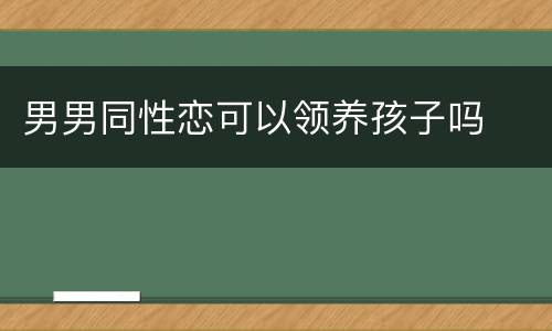男男同性恋可以领养孩子吗