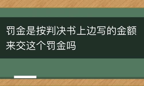 罚金是按判决书上边写的金额来交这个罚金吗