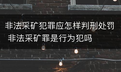 非法采矿犯罪应怎样判刑处罚 非法采矿罪是行为犯吗