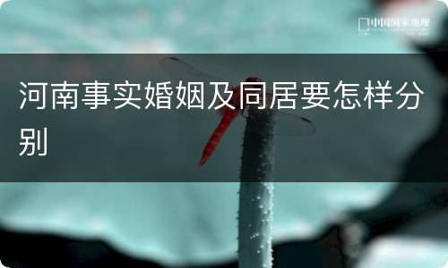河南事实婚姻及同居要怎样分别