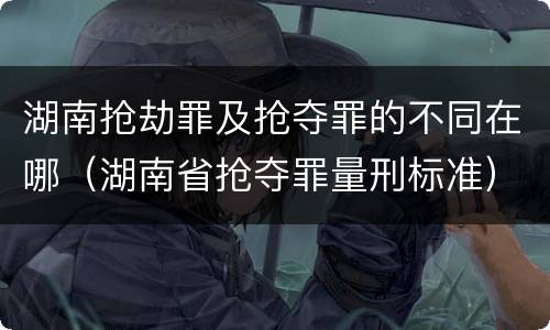 湖南抢劫罪及抢夺罪的不同在哪（湖南省抢夺罪量刑标准）