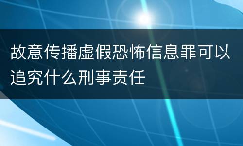 故意传播虚假恐怖信息罪可以追究什么刑事责任