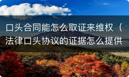 口头合同能怎么取证来维权（法律口头协议的证据怎么提供）