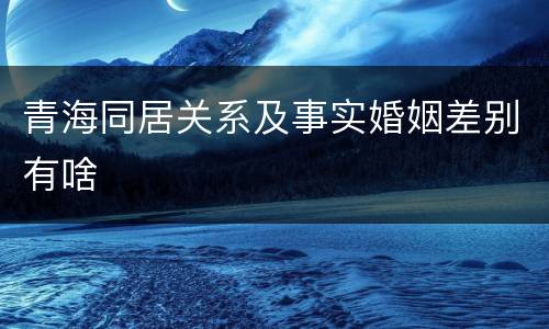 青海同居关系及事实婚姻差别有啥
