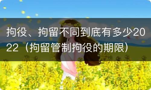 拘役、拘留不同到底有多少2022（拘留管制拘役的期限）