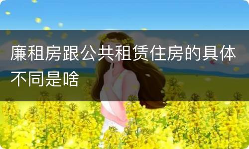 廉租房跟公共租赁住房的具体不同是啥
