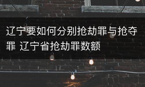 辽宁要如何分别抢劫罪与抢夺罪 辽宁省抢劫罪数额