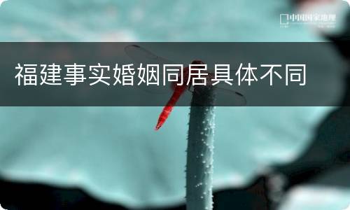 福建事实婚姻同居具体不同