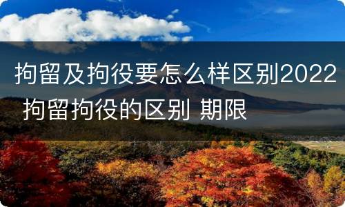 拘留及拘役要怎么样区别2022 拘留拘役的区别 期限