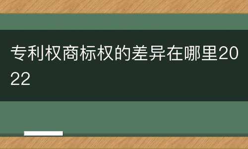 专利权商标权的差异在哪里2022