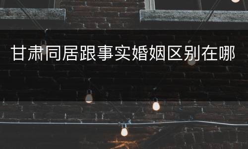 甘肃同居跟事实婚姻区别在哪