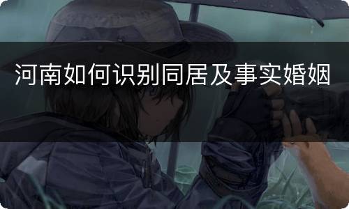 河南如何识别同居及事实婚姻