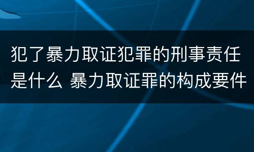 犯了暴力取证犯罪的刑事责任是什么 暴力取证罪的构成要件