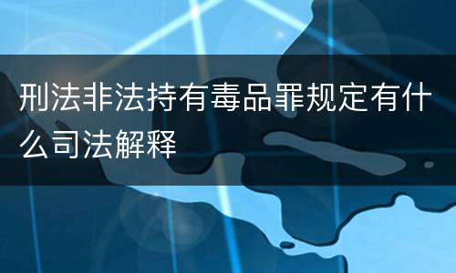 刑法非法持有毒品罪规定有什么司法解释