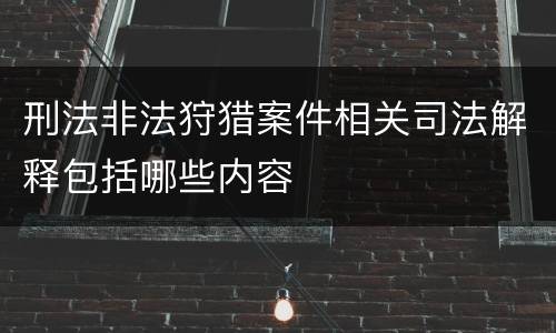 刑法非法狩猎案件相关司法解释包括哪些内容