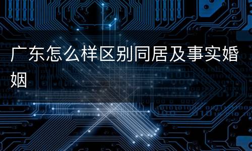 广东怎么样区别同居及事实婚姻