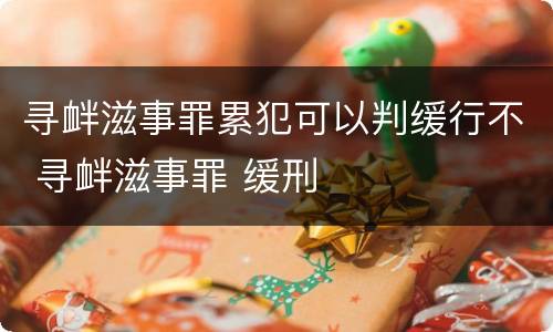 寻衅滋事罪累犯可以判缓行不 寻衅滋事罪 缓刑