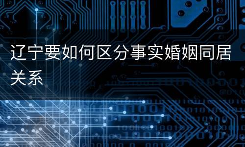 辽宁要如何区分事实婚姻同居关系