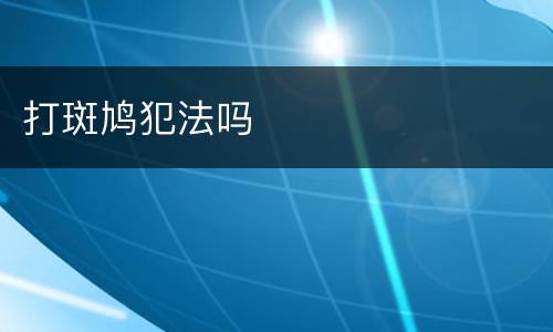 打斑鸠犯法吗