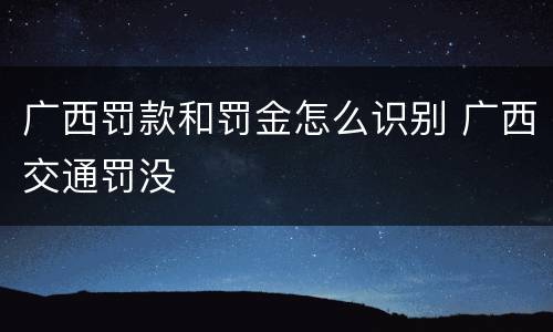 广西罚款和罚金怎么识别 广西交通罚没
