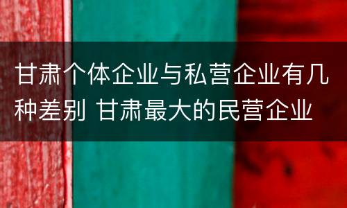 甘肃个体企业与私营企业有几种差别 甘肃最大的民营企业
