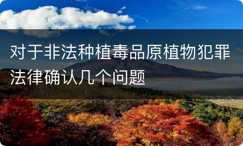 对于非法种植毒品原植物犯罪法律确认几个问题