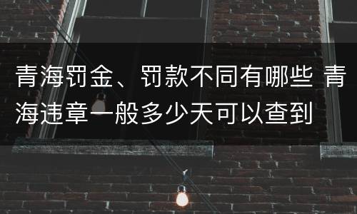 青海罚金、罚款不同有哪些 青海违章一般多少天可以查到