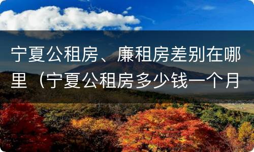 宁夏公租房、廉租房差别在哪里（宁夏公租房多少钱一个月）