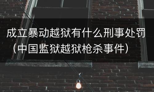 成立暴动越狱有什么刑事处罚（中国监狱越狱枪杀事件）