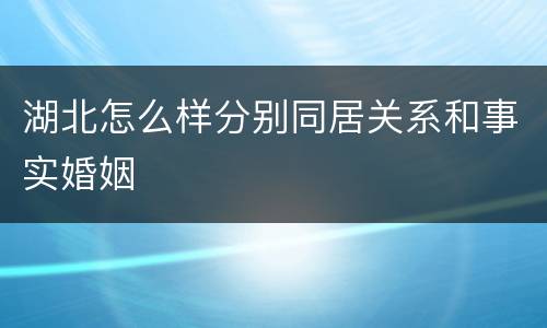 湖北怎么样分别同居关系和事实婚姻