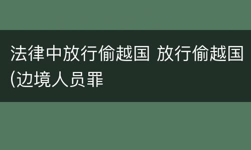 法律中放行偷越国 放行偷越国(边境人员罪