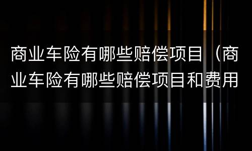 商业车险有哪些赔偿项目（商业车险有哪些赔偿项目和费用）