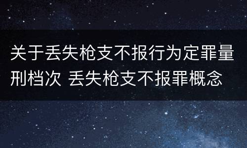关于丢失枪支不报行为定罪量刑档次 丢失枪支不报罪概念
