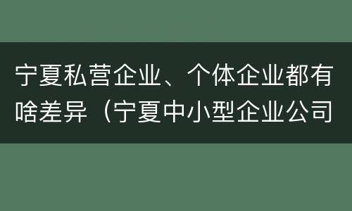 宁夏私营企业、个体企业都有啥差异（宁夏中小型企业公司有哪些）