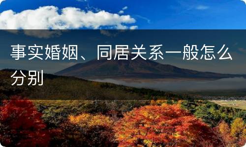 事实婚姻、同居关系一般怎么分别