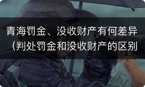 青海罚金、没收财产有何差异（判处罚金和没收财产的区别）