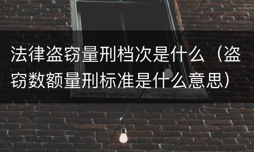 法律盗窃量刑档次是什么（盗窃数额量刑标准是什么意思）