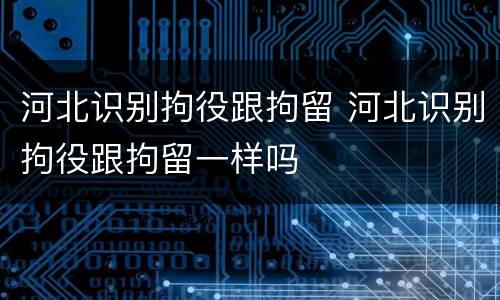河北识别拘役跟拘留 河北识别拘役跟拘留一样吗