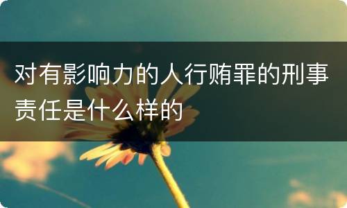 对有影响力的人行贿罪的刑事责任是什么样的