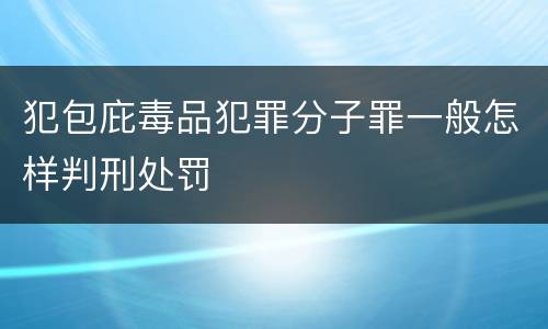 犯包庇毒品犯罪分子罪一般怎样判刑处罚