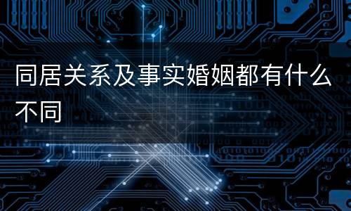 同居关系及事实婚姻都有什么不同