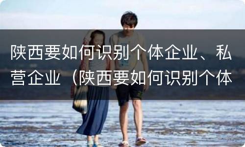 陕西要如何识别个体企业、私营企业（陕西要如何识别个体企业,私营企业）