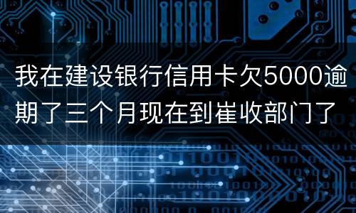 我在建设银行信用卡欠5000逾期了三个月现在到崔收部门了他们要起诉我应该怎么办